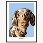 Personalised Pet Pawtrait