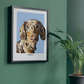 Personalised Pet Pawtrait